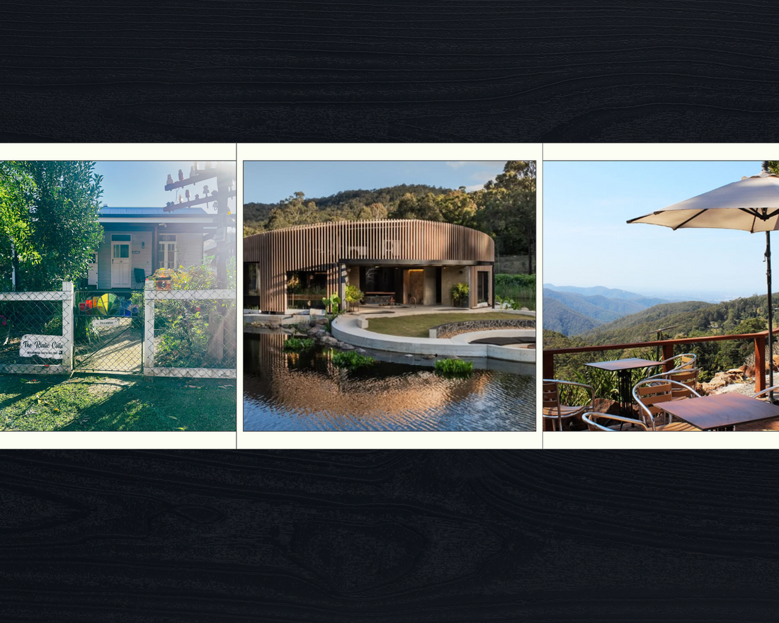 Celebration a place for Connection