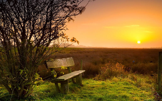 I Found a Place of Rest | Nume Studio Reflections