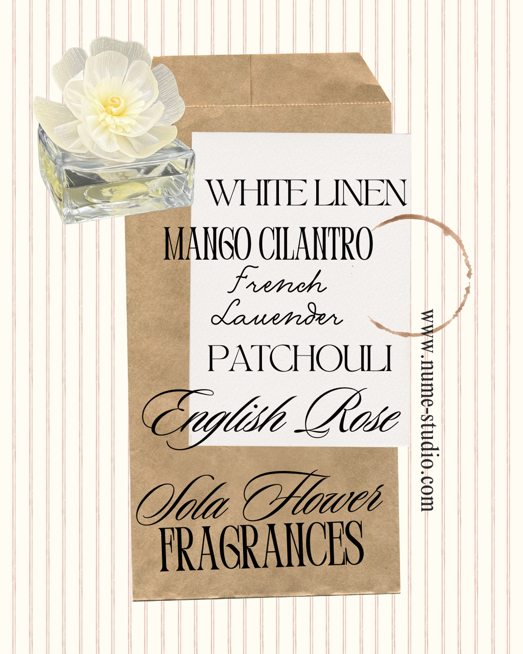 Nume Studio Sola Flower Diffuser: Luxury Flameless Fragrance