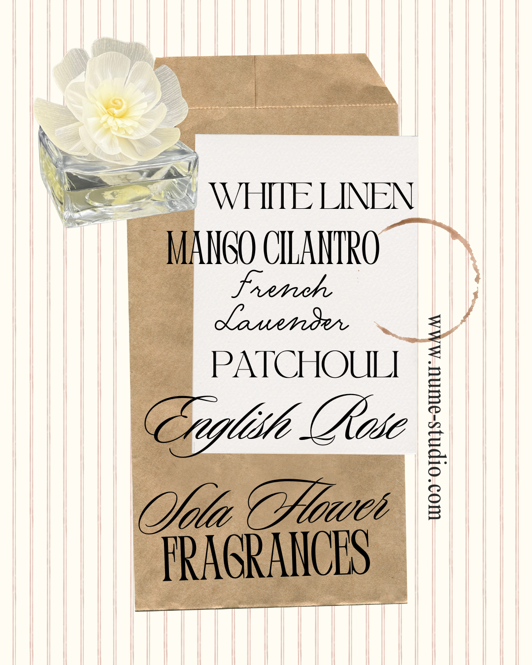 Nume Studio Sola Flower Diffuser: Luxury Flameless Fragrance